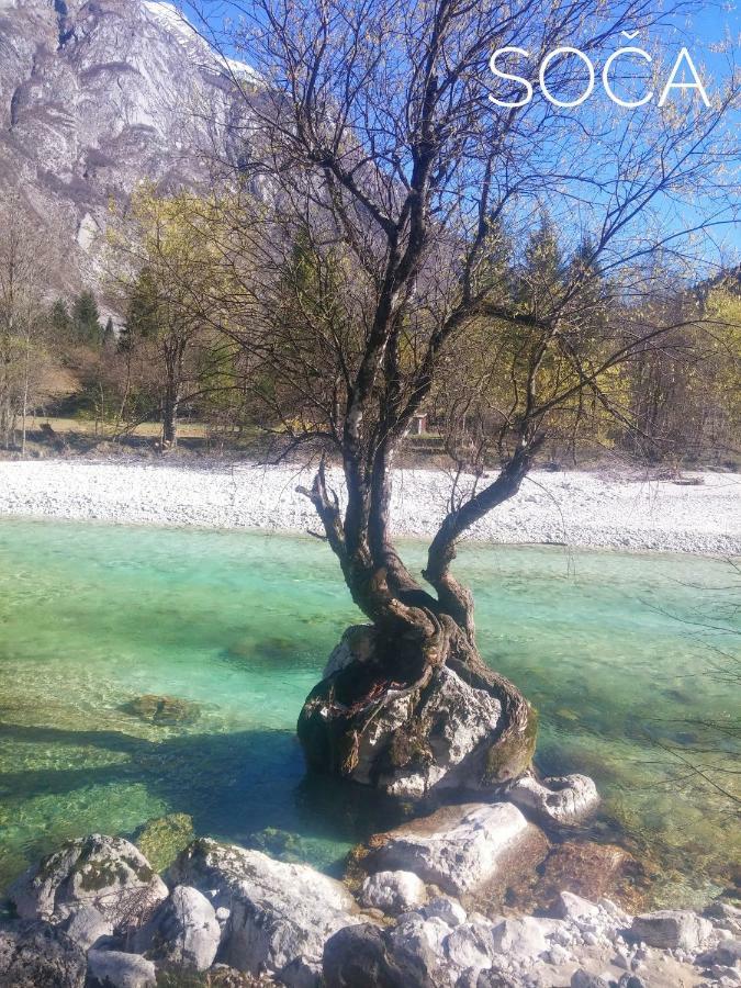 Apartma Kukc Bovec Daire Kal-Koritnica Dış mekan fotoğraf
